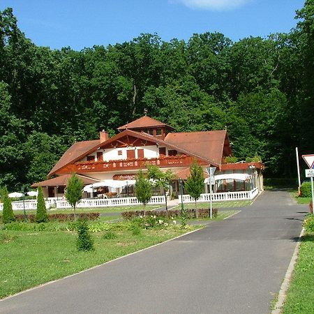 Hotel Erdogyongye Etterem Es Panzio Zalaegerszeg Exterior foto